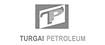 Turgaz Petroleum